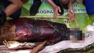 İki çocuk annesi dev pitonun midesinden çıkarıldı! Görenler dehşete düştü