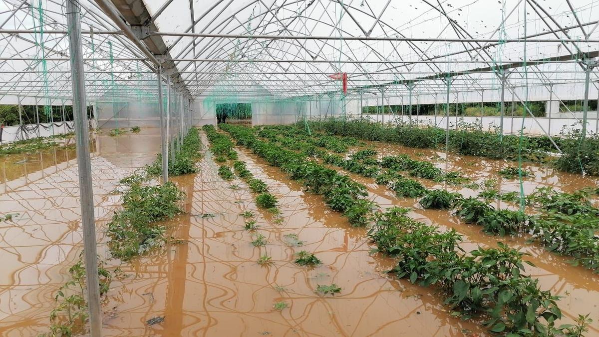 Tokat'ın Zile il&ccedil;esinde sağanak ve dolu zarara yol a&ccedil;tı