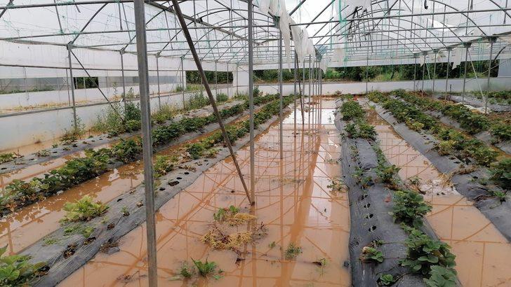 Tokat'ın Zile ilçesinde sağanak ve dolu zarara yol açtı G2