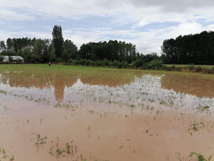 Tokat'ın Zile ilçesinde sağanak ve dolu zarara yol açtı G3