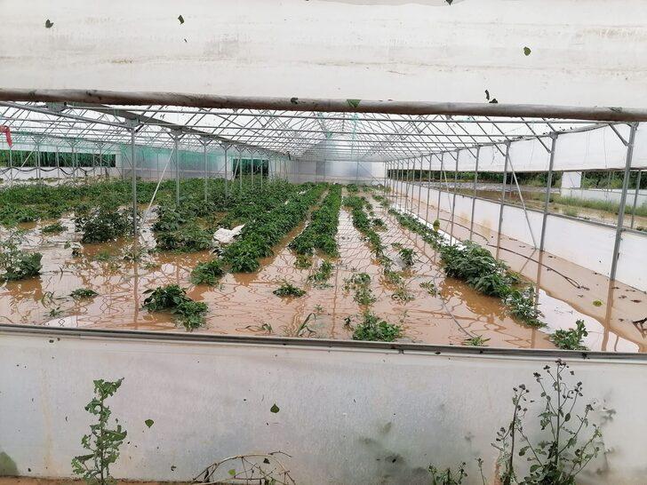 Tokat'ın Zile ilçesinde sağanak ve dolu zarara yol açtı G4