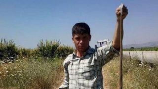 Kendisine saldıran yılanı öldürdü