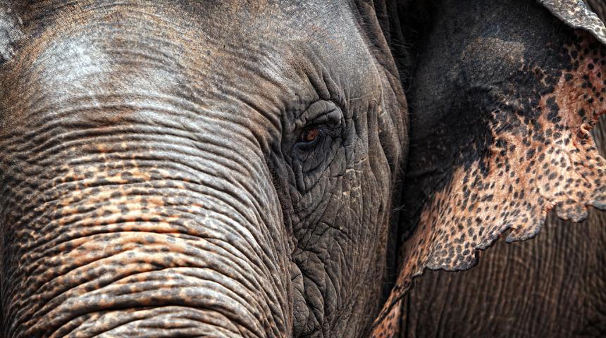 Her satırı korkunç! 70 yaşındaki kadını öldürüp dehşeti yaşattı: Bununla da yetinmeyip cenazeyi bastı