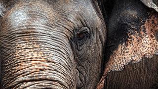 Her satırı korkunç! 70 yaşındaki kadını öldürüp dehşeti yaşattı: Bununla da yetinmeyip cenazeyi bastı