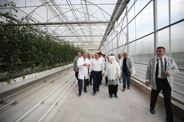 Sakarya'da "Seracılık Mükemmeliyet Merkezi" tanıtım toplantısı yapıldı G1