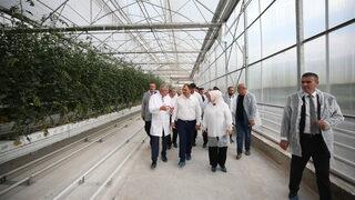 Sakarya'da Seracılık Mükemmeliyet Merkezi tanıtım toplantısı yapıldı