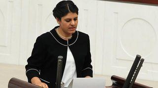 HDP'nin Meclis Başkan vekili adayı Erol Dora