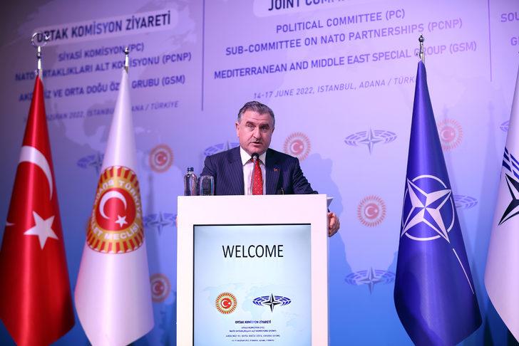 NATO PA Siyasi Komisyon ile Akdeniz ve Orta Doğu Özel Grubu Ortak Toplantısı İstanbul'da başladı G3