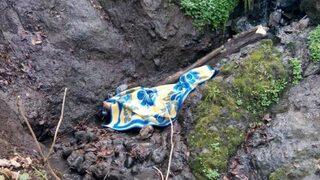 Budadığı ağaç kırılınca düşerek öldü