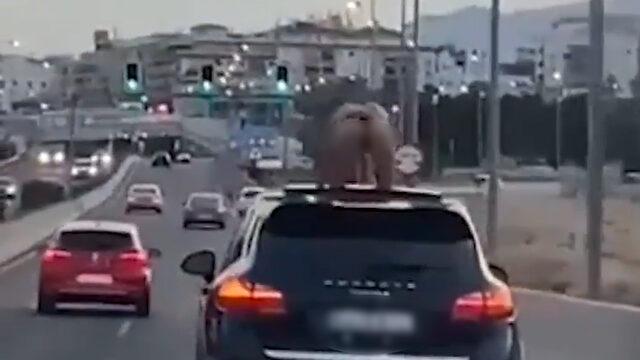 Seyir halindeki aracın sanrufundan çıktı! Bir anda üstü çıplak bir şekilde dans etmeye başladı