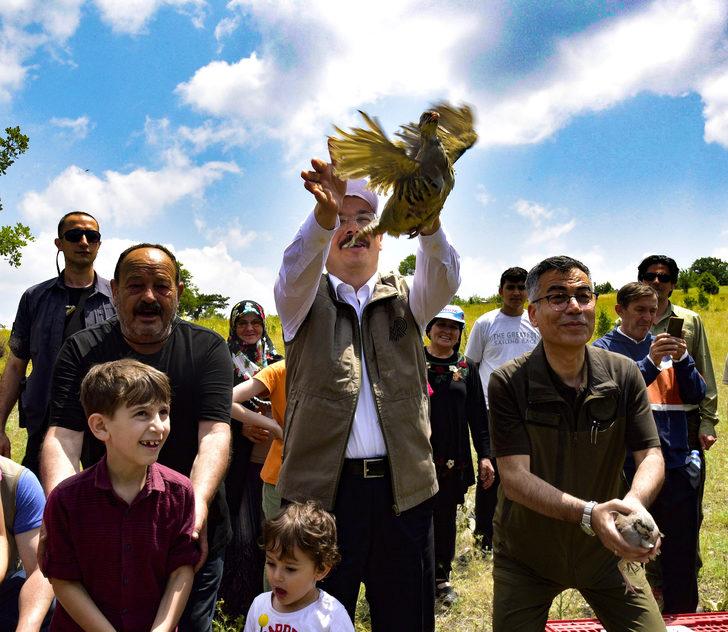 Bilecik'te 475 kınalı keklik doğaya bırakıldı G1