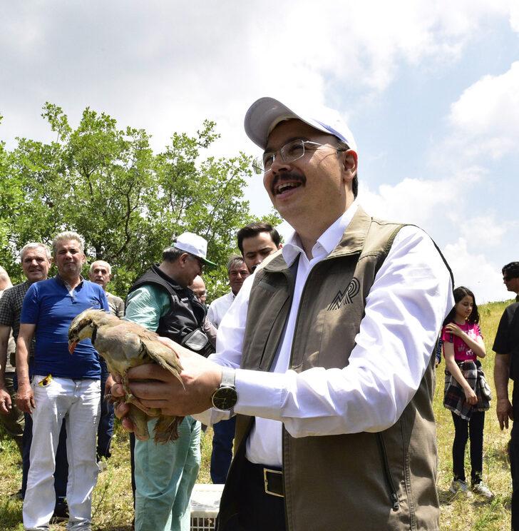 Bilecik'te 475 kınalı keklik doğaya bırakıldı G3