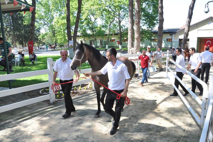 TİGEM 49 tayın satışından toplam 8 milyon 466 bin lira gelir elde etti G3