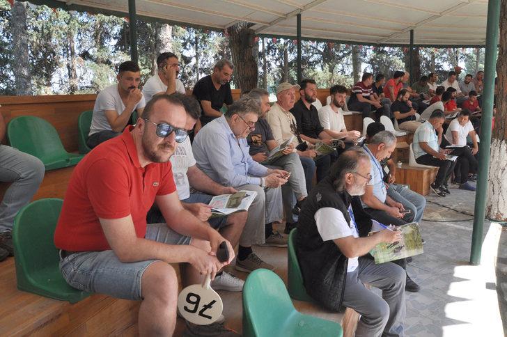 TİGEM 49 tayın satışından toplam 8 milyon 466 bin lira gelir elde etti G4