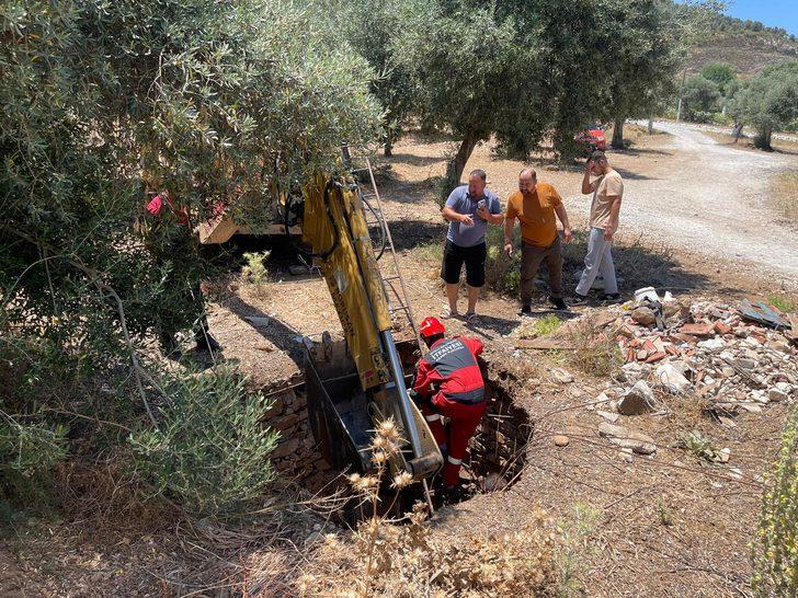 Muğla'da kuyuya düşen inek itfaiye ekiplerince kurtarıldı G1