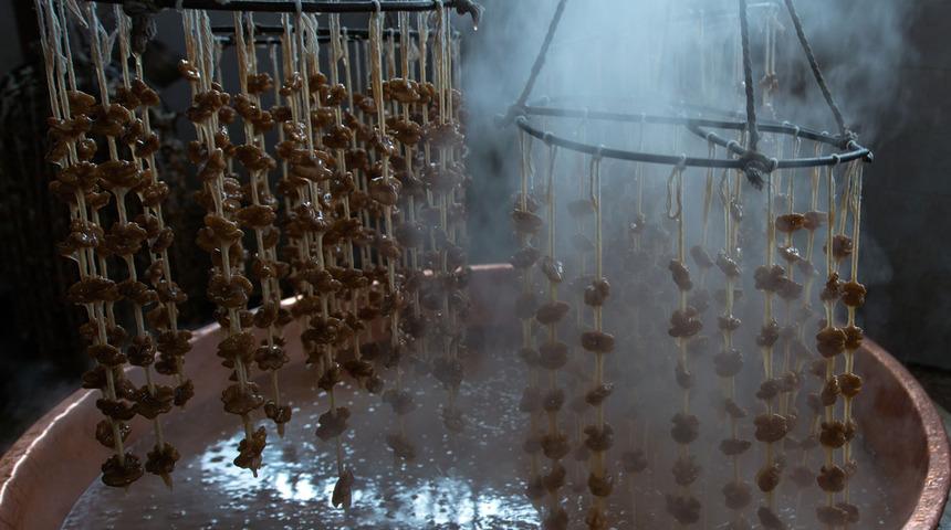 Kırk yıl düşünseniz aklınıza gelmez: Doğal afrodizyak libidonuzu artırmayı garanti ediyor!