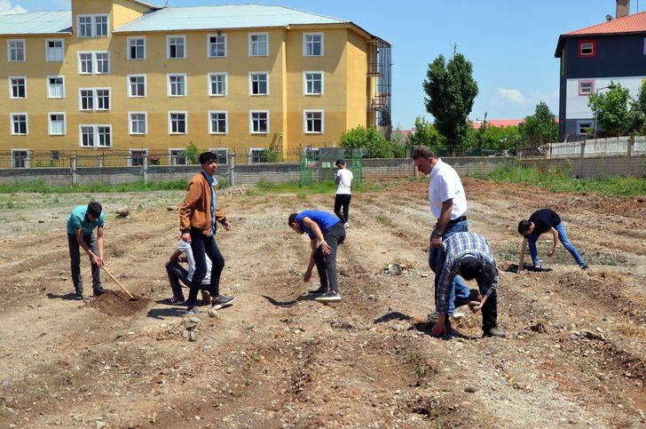 Muş'ta atıl durumdaki okul arazisi bostana dönüştürüldü G2