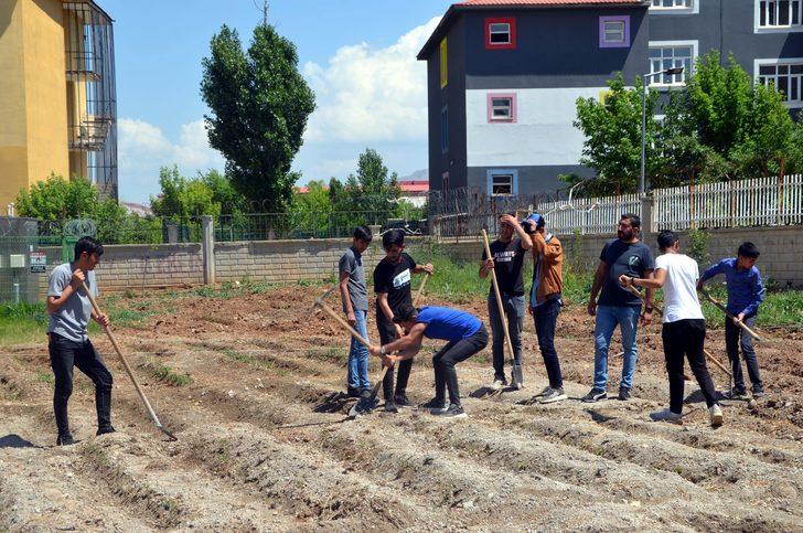 Muş'ta atıl durumdaki okul arazisi bostana dönüştürüldü G3