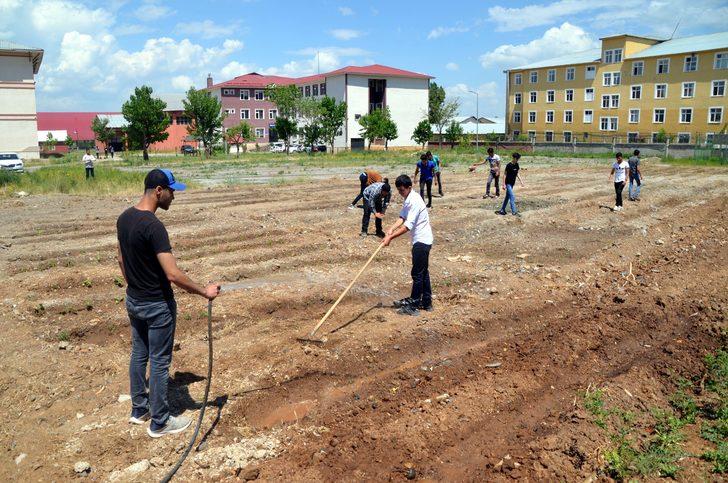 Muş'ta atıl durumdaki okul arazisi bostana dönüştürüldü G4