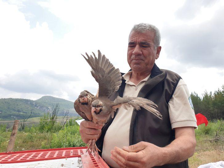 Osmaniye'de yangından zarar gören ormanlara 1000 keklik salındı G3