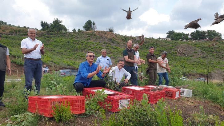Osmaniye'de yangından zarar gören ormanlara 1000 keklik salındı G5