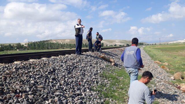 Konya'da trenin çarptığı 140 küçükbaş hayvan telef oldu