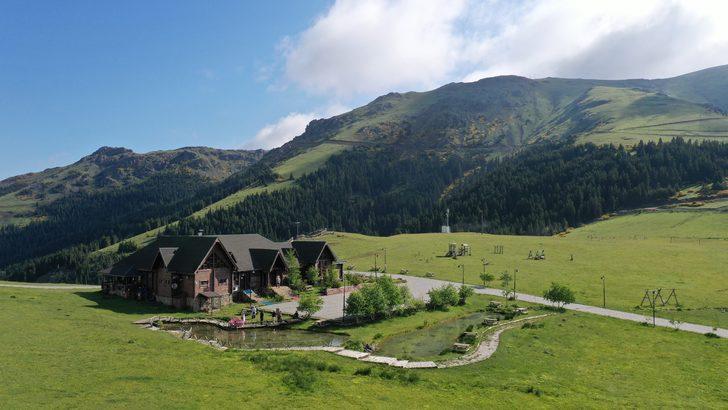 Giresun'un doğa harikası yaylalarında turizm hareketliliği başladı G1