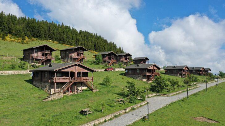 Giresun'un doğa harikası yaylalarında turizm hareketliliği başladı G4