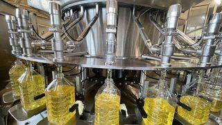 Trakya Birlik tesislerinde yılda 72 bin ton ayçiçeği yağı üretiliyor