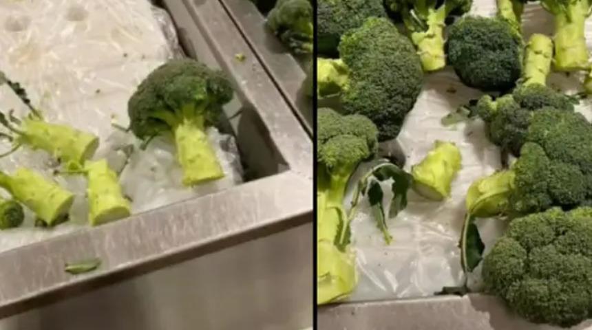 Avustralya'da yükselen gıda fiyatlarına karşı halktan ilginç önlem! İzleyen şaştı kaldı