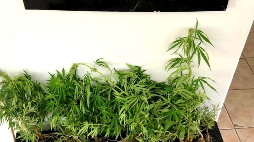 Kırklareli'nde uyuşturucu operasyonunda 10 şüpheli yakalandı