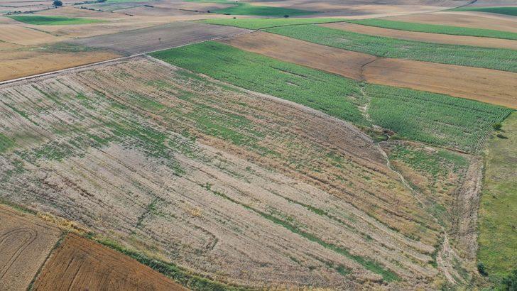 Edirne'de son yağışlar çiftçiyi sevindirdi G4