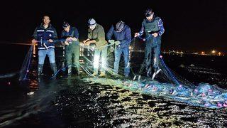 Van'da 620 kilogram kaçak avlanılan inci kefali ele geçirildi