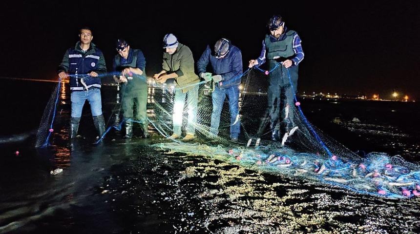 Van'da 620 kilogram kaçak avlanılan inci kefali ele geçirildi