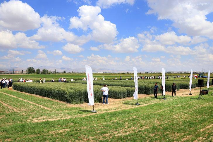 Konya'da kuraklığa dayanıklı hububat tanıtımı G2