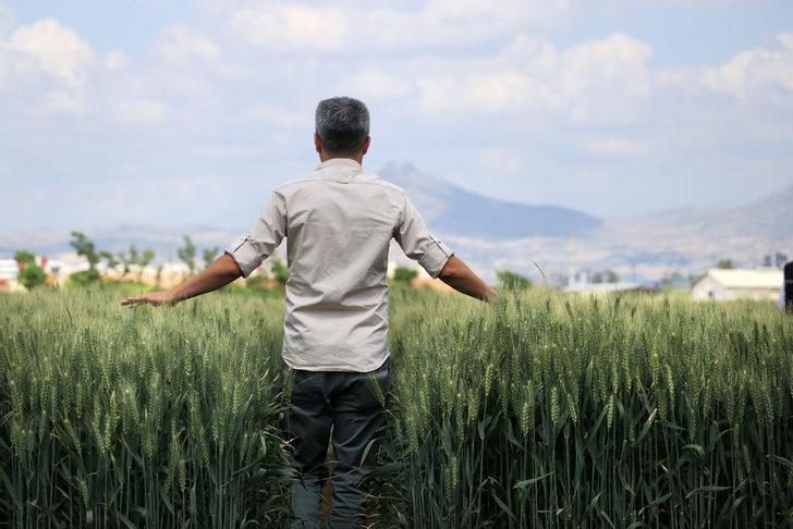 Konya'da kuraklığa dayanıklı hububat tanıtımı G3