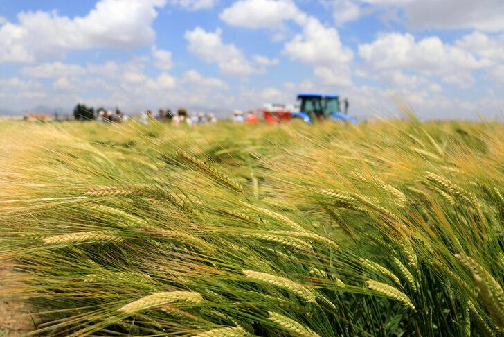 Konya'da kuraklığa dayanıklı hububat tanıtımı G4