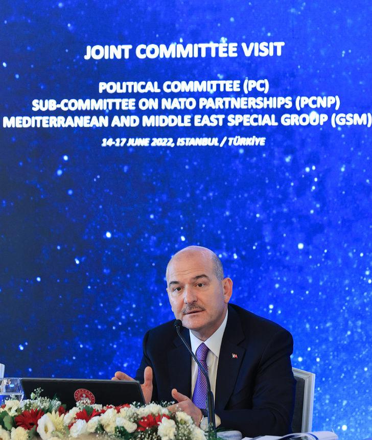 Bakan Soylu, NATO Parlamenter Asamblesi Politik Komite ve Ortadoğu Komitesi heyetiyle bir araya geldi: G3