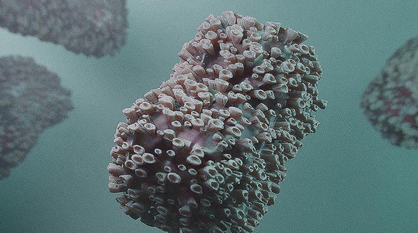 DSÖ'den flaş mesaj! Maymun çiçeği salgınının merkez üssünü açıkladılar