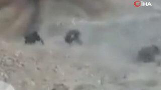 Bir taş attı, ortalık savaş alanına döndü! Çocuk canını zor kurtardı