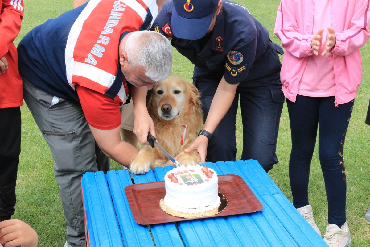 Jandarmanın arama kurtarma k&ouml;peği "Bulut" madalyasını alarak emekli oldu