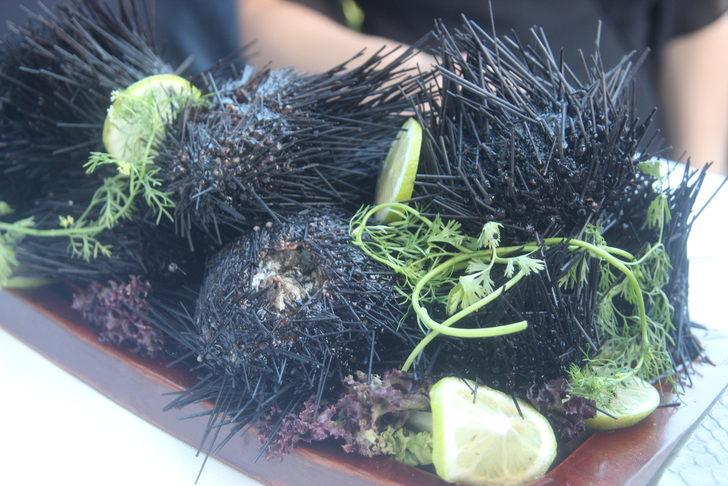 Mersin'de aslan balığı tadım etkinliği yapıldı G3