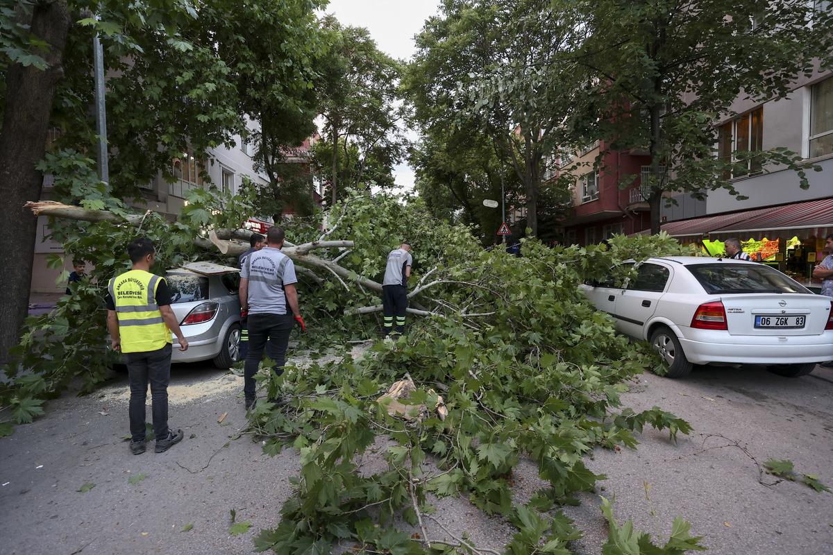 Ankara'da bir ağa&ccedil; park halindeki aracın &uuml;zerine devrildi