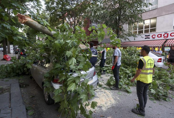 Ankara'da bir ağaç park halindeki aracın üzerine devrildi G2