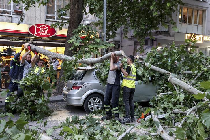 Ankara'da bir ağaç park halindeki aracın üzerine devrildi G3