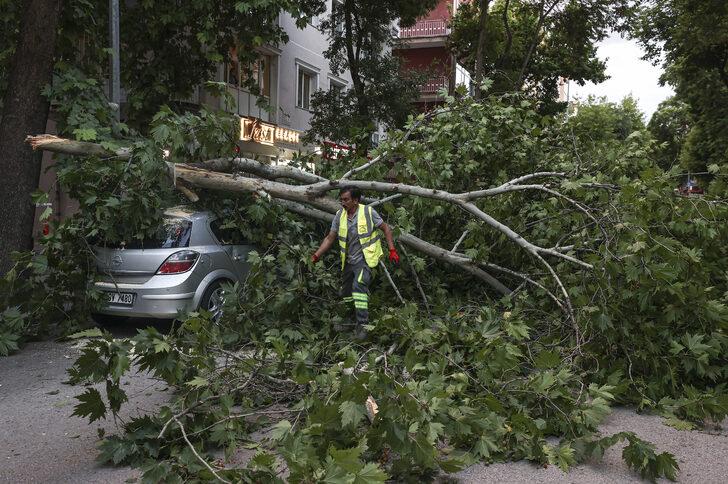 Ankara'da bir ağaç park halindeki aracın üzerine devrildi G4