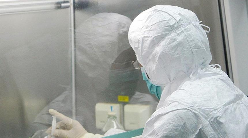 Türkiye sınırında bir vaka daha! Bu kez Gürcistan'da görüldü