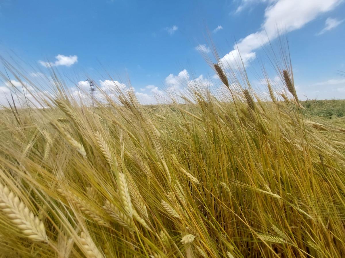 S&uuml;rd&uuml;r&uuml;lebilir Arazi Y&ouml;netimi ile tarımsal verim artırılıyor