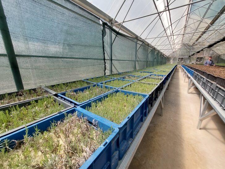 Sürdürülebilir Arazi Yönetimi ile tarımsal verim artırılıyor G2