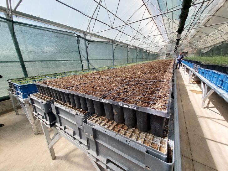 Sürdürülebilir Arazi Yönetimi ile tarımsal verim artırılıyor G3